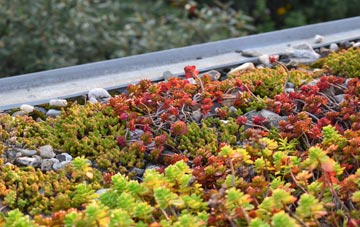 the cost of Buxhall Fen Street green roof installation