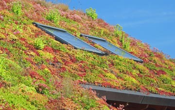 Buxhall Fen Street living roof systems